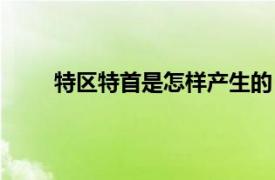 特区特首是怎样产生的（特首相关内容简介介绍）