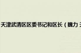 天津武清区区委书记和区长（魏力 天津市武清区副区长相关内容简介介绍）