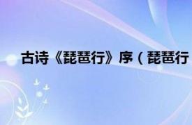 古诗《琵琶行》序（琵琶行 胡应麟诗作相关内容简介介绍）