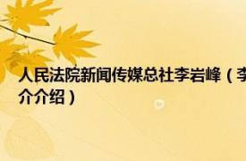 人民法院新闻传媒总社李岩峰（李岩峰 人民法院报社副总编辑相关内容简介介绍）