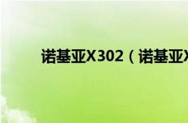 诺基亚X302（诺基亚X3-02相关内容简介介绍）