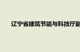 辽宁省建筑节能与科技厅副厅长常汉清简要介绍相关内容