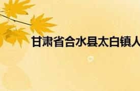 甘肃省合水县太白镇人民政府民政助理王娟介绍