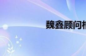 魏鑫顾问相关内容简介