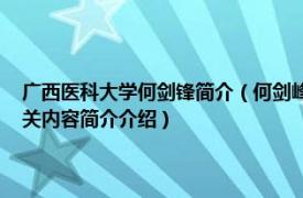 广西医科大学何剑锋简介（何剑峰 广西医科大学第一附属医院主任医师相关内容简介介绍）