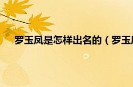 罗玉凤是怎样出名的（罗玉凤 网络红人相关内容简介介绍）