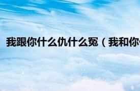 我跟你什么仇什么冤（我和你什么仇什么冤相关内容简介介绍）