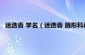 迷迭香 学名（迷迭香 唇形科迷迭香属植物相关内容简介介绍）