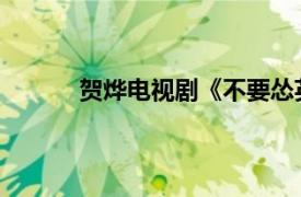 贺烨电视剧《不要怂英雄》角色相关内容介绍