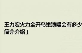 王力宏火力全开鸟巢演唱会有多少人（王力宏火力全开鸟巢演唱会相关内容简介介绍）