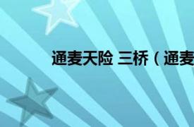 通麦天险 三桥（通麦天险相关内容简介介绍）