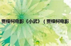 贾樟柯电影《小武》（贾樟柯电影：故乡三部曲之小武相关内容简介介绍）