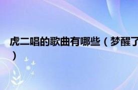 虎二唱的歌曲有哪些（梦醒了 虎二演唱的歌曲相关内容简介介绍）