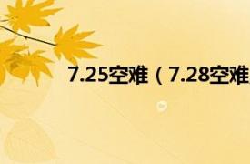 7.25空难（7.28空难魔咒相关内容简介介绍）