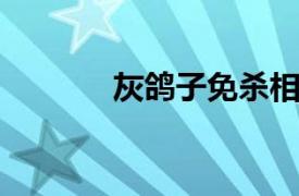 灰鸽子免杀相关内容简介介绍