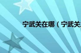 宁武关在哪（宁武关之战相关内容简介介绍）