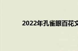 2022年孔雀眼百花文艺出版社出版图书简介