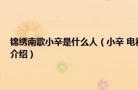 锦绣南歌小辛是什么人（小辛 电视剧《锦绣南歌》中的角色相关内容简介介绍）