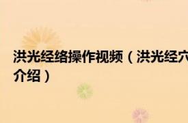 洪光经络操作视频（洪光经穴拍打操随身带 中级篇相关内容简介介绍）