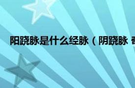 阳跷脉是什么经脉（阴跷脉 奇经八脉之一相关内容简介介绍）