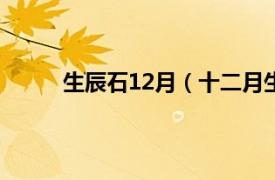 生辰石12月（十二月生辰石相关内容简介介绍）