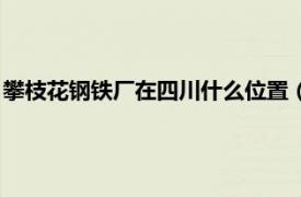 攀枝花钢铁厂在四川什么位置（攀枝花钢铁厂相关内容简介介绍）