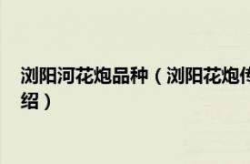 浏阳河花炮品种（浏阳花炮传统小型产品飞天鼠相关内容简介介绍）