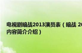 电视剧暗战2013演员表（暗战 2015年邢键钧、栗心博执导的电视剧相关内容简介介绍）