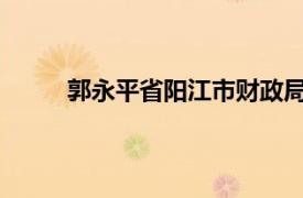 郭永平省阳江市财政局二级调研员相关内容简介