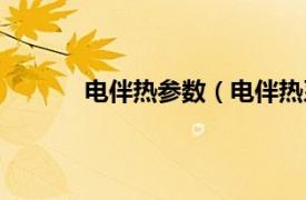 电伴热参数（电伴热系统相关内容简介介绍）