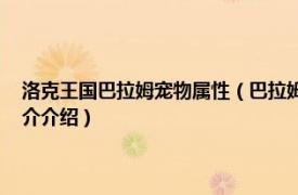 洛克王国巴拉姆宠物属性（巴拉姆 游戏《洛克王国》中的宠物相关内容简介介绍）