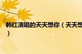 韩红演唱的天天想你（天天想你 韩红演唱歌曲相关内容简介介绍）