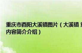 重庆市酉阳大溪镇图片（大溪镇 重庆市酉阳土家族苗族自治县下辖镇相关内容简介介绍）