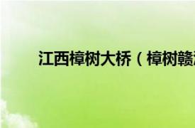 江西樟树大桥（樟树赣江大桥相关内容简介介绍）