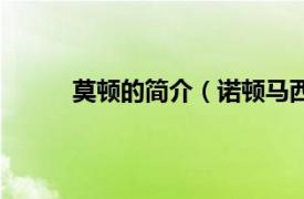 莫顿的简介（诺顿马西莫格相关内容简介介绍）