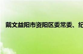 戴文益阳市资阳区委常委、纪委书记、监委主任相关内容简介