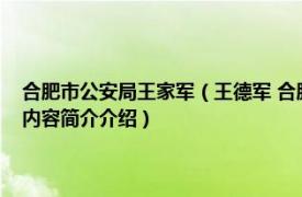 合肥市公安局王家军（王德军 合肥市公安局治安警察支队原副支队长相关内容简介介绍）