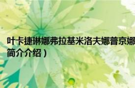 叶卡捷琳娜弗拉基米洛夫娜普京娜（普京娜玛丽娅弗拉基米罗夫娜相关内容简介介绍）