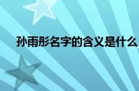 孙雨彤名字的含义是什么（孙雨彤相关内容简介介绍）