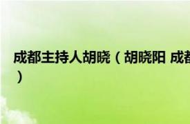 成都主持人胡晓（胡晓阳 成都电视台主任编辑相关内容简介介绍）