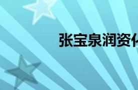 张宝泉润资化工董事长简介