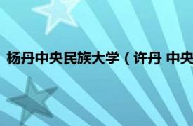 杨丹中央民族大学（许丹 中央民族大学讲师相关内容简介介绍）