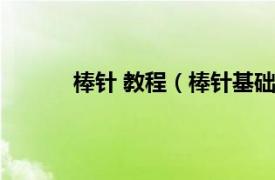 棒针 教程（棒针基础入门相关内容简介介绍）