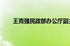 王克强民政部办公厅副主任对相关内容的简要介绍