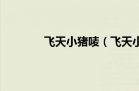 飞天小猪唛（飞天小猪相关内容简介介绍）