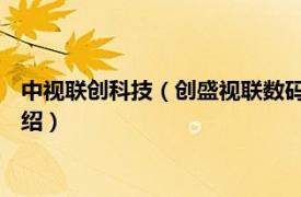 中视联创科技（创盛视联数码科技 北京有限公司相关内容简介介绍）