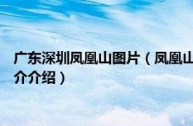 广东深圳凤凰山图片（凤凰山 广东省深圳市境内景区相关内容简介介绍）