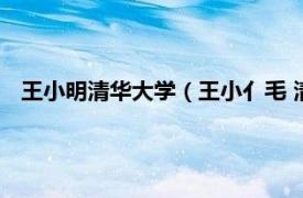 王小明清华大学（王小亻毛 清华大学教师相关内容简介介绍）