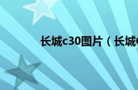 长城c30图片（长城C30相关内容简介介绍）