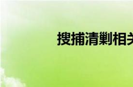 搜捕清剿相关内容简介介绍